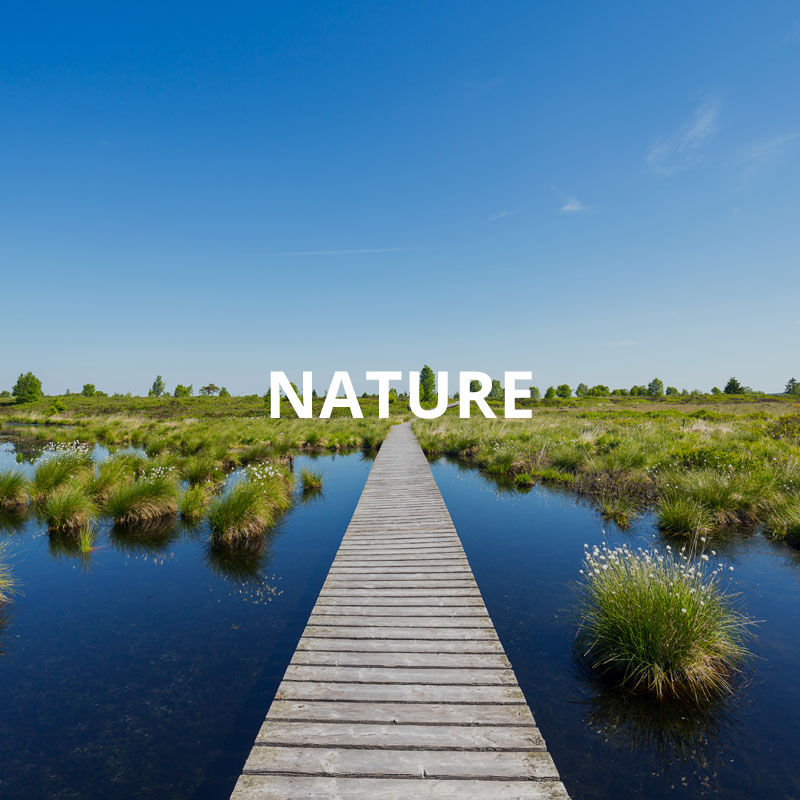 Activités autour de la nature